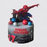 Детский торт с Человеком пауком на 4 года №106226