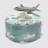 Торт в виде самолета в небе №107581