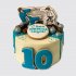 Торт тхэквондо на День Рождения мальчика 10 лет №108050