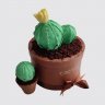 Торт в форме кактуса с цветком №108942