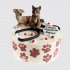 Торт на День Рождения женщины ветеринара №109855