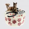 Торт ветеринару с животными и надписями №109856