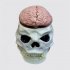 Торт психологу в форме черепа человека с мозгом №111890
