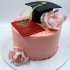 Торт на выпускной университета №122351