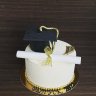 Торт на выпускной университета №122360