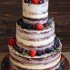 Голый свадебный торт №126525