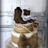 Свадебный торт Дикий запад №128095