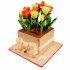 Торт Коробка с цветами №93579