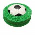 Торт футбольный мяч №99799