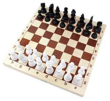 Шашки или шахматы